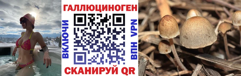 наркота Горнозаводск Галлюциногенные грибы ЛСД